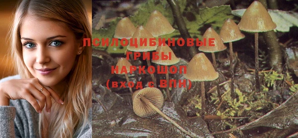 ALPHA PVP Арсеньев