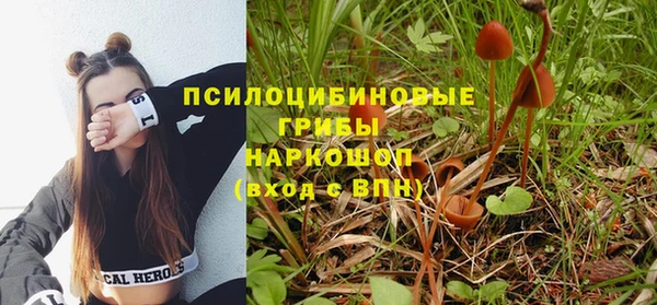 ALPHA PVP Арсеньев