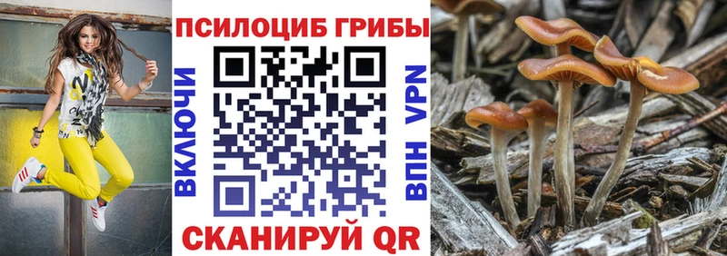 наркота  mega онион  Псилоцибиновые грибы прущие грибы  Починок 
